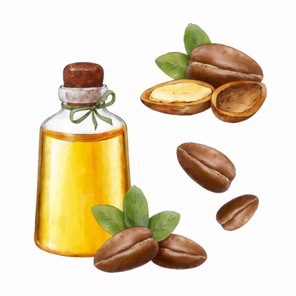 GroundNut Oil