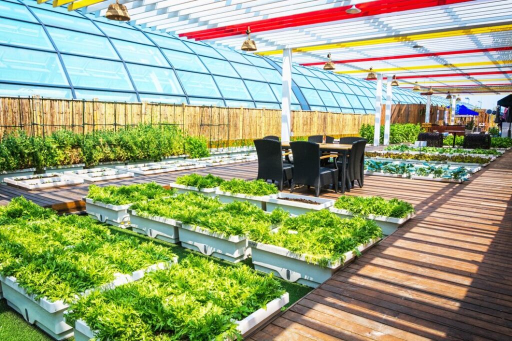 Organic Food Store