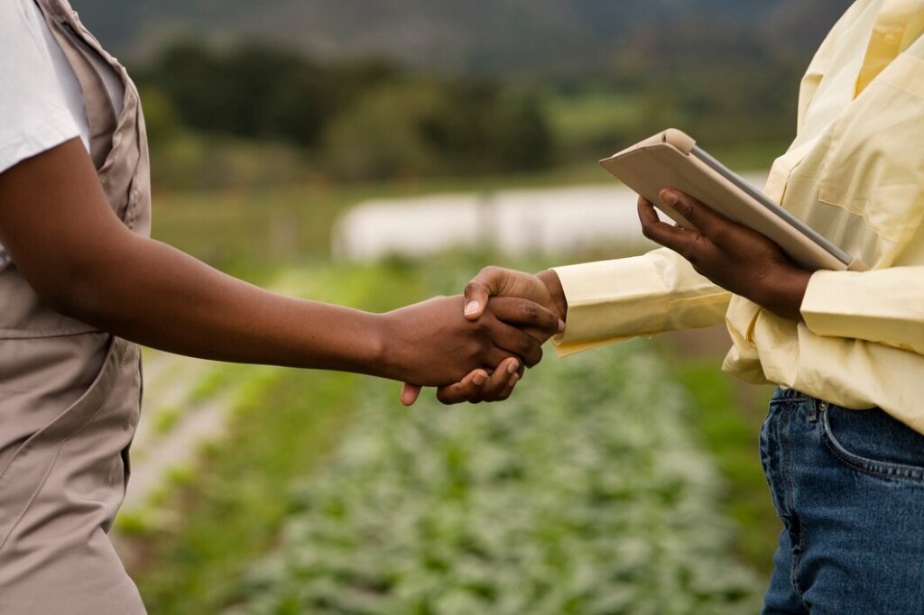 Organic Food Stores