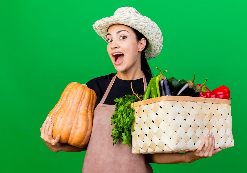 Organic food Stores